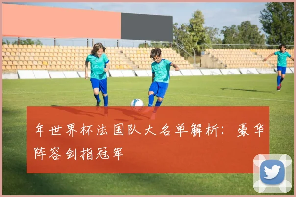 年世界杯法国队大名单解析：豪华阵容剑指冠军