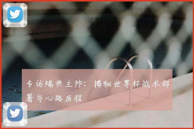 专访瑞典主帅：揭秘世界杯战术部署与心路历程